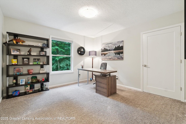 3901 W Howe Rd, Dewitt, MI 48820 - carpeted office space with a textured ceiling and baseboards