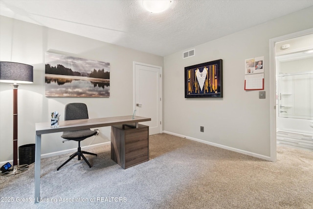 3901 W Howe Rd, Dewitt, MI 48820 - carpeted office space with a textured ceiling and baseboards