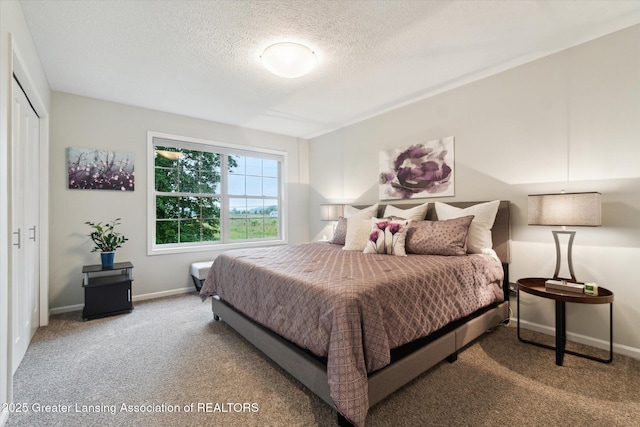 3901 W Howe Rd, Dewitt, MI 48820 - bedroom with carpet, a textured ceiling, and a closet