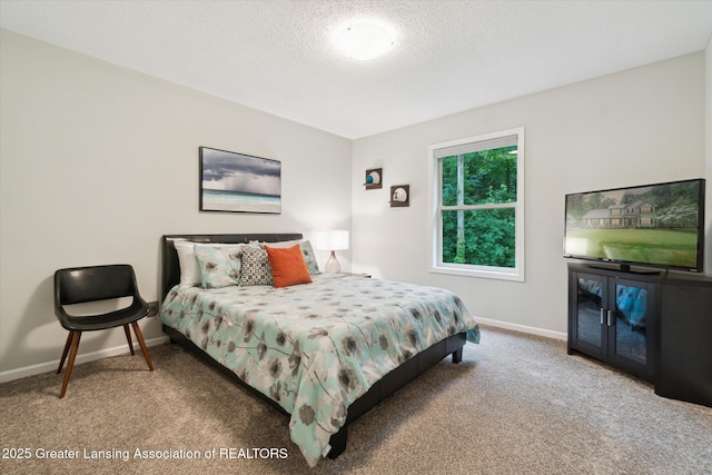 3901 W Howe Rd, Dewitt, MI 48820 - bedroom featuring carpet and a textured ceiling