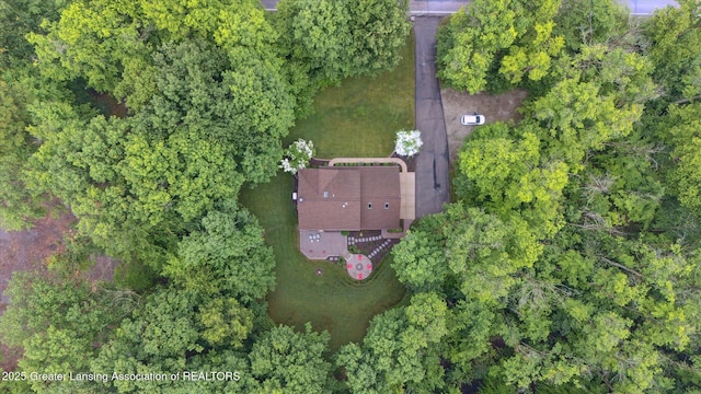 3901 W Howe Rd, Dewitt, MI 48820 - aerial overview of property's location