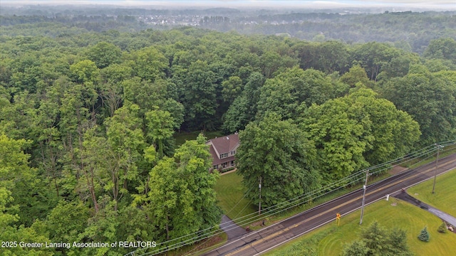 3901 W Howe Rd, Dewitt, MI 48820 - aerial view of a forest
