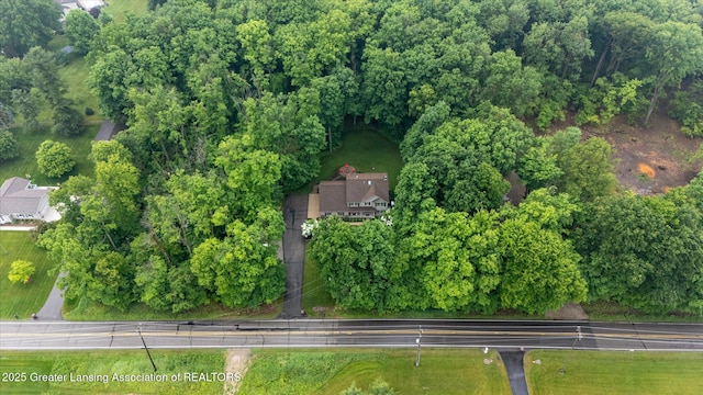3901 W Howe Rd, Dewitt, MI 48820 - aerial view of property and surrounding area