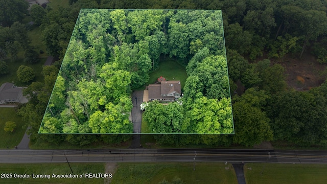 3901 W Howe Rd, Dewitt, MI 48820 - aerial view of property's location featuring property parcel outlined and a heavily wooded area