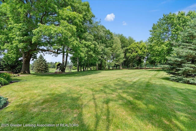 8345 Country Farm Ln, Laingsburg, MI 48848 - photo 48