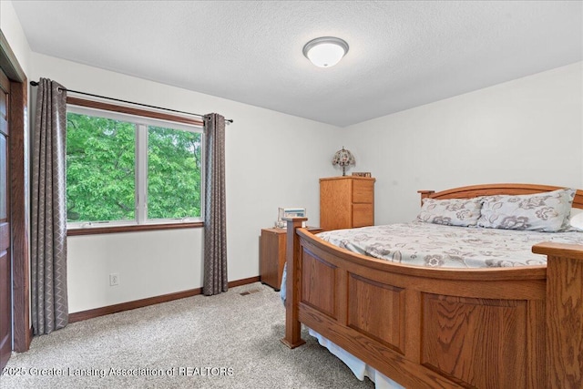 8345 Country Farm Ln, Laingsburg, MI 48848 - photo 30