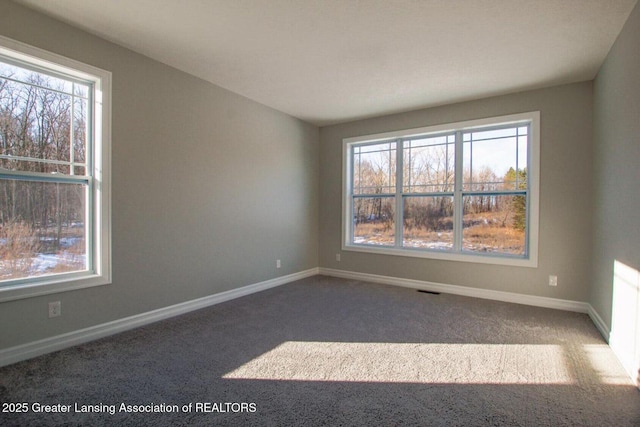 616 Magenta Ct, Haslett, MI 48840 - empty room with healthy amount of natural light and carpet floors
