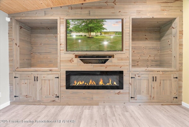 17 Charles E Pl, Battle Creek, MI 49015 - detailed view of a glass covered fireplace, wooden walls, and wood finished floors