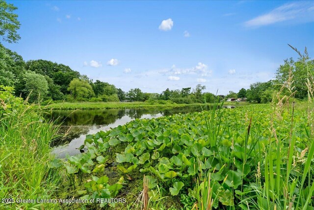 17 Charles E Pl, Battle Creek, MI 49015 - water view