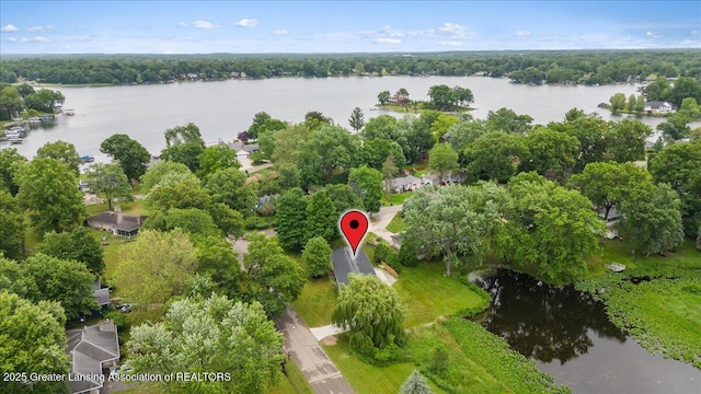 17 Charles E Pl, Battle Creek, MI 49015 - view of property location with a nearby body of water