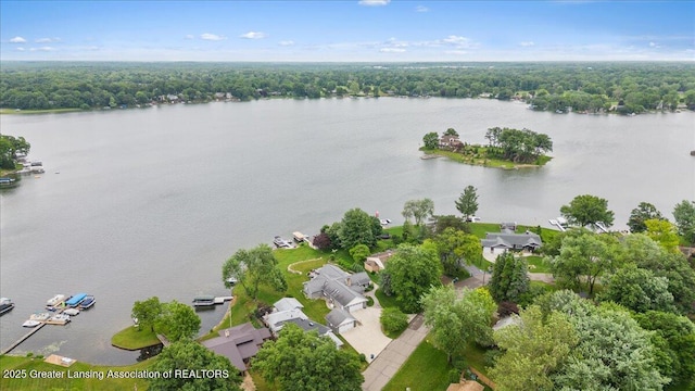 17 Charles E Pl, Battle Creek, MI 49015 - aerial view of residential area with a large body of water and a forest