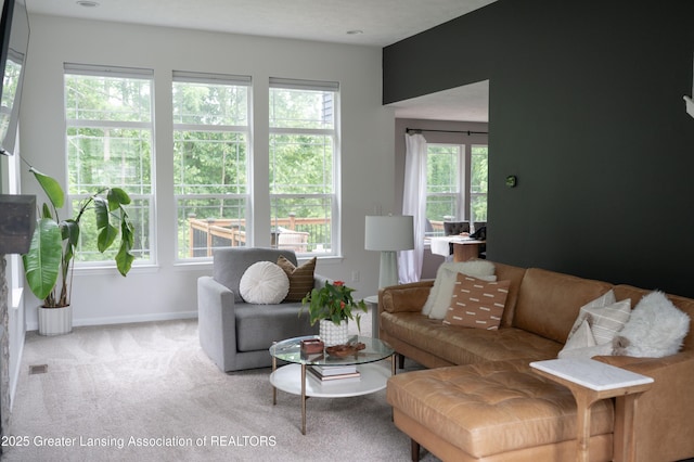 4348 Norway St, Holt, MI 48842 - photo 8