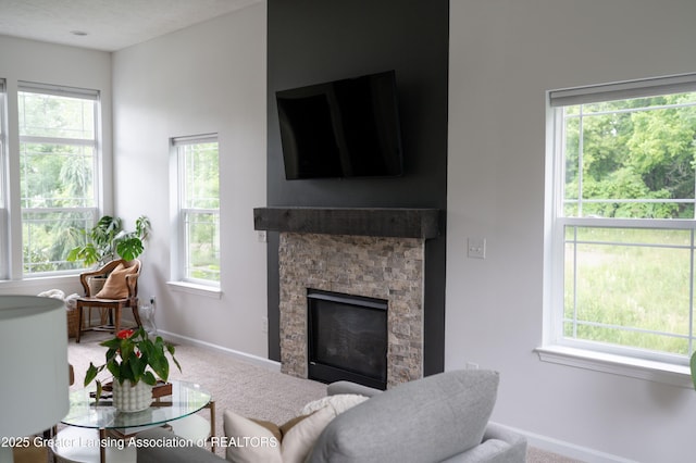 4348 Norway St, Holt, MI 48842 - photo 9