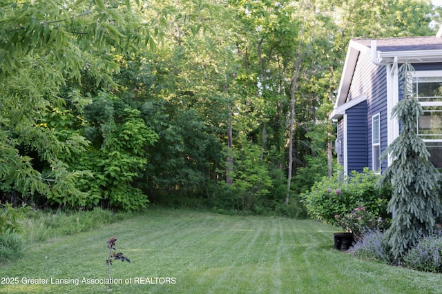 4348 Norway St, Holt, MI 48842 - photo 29