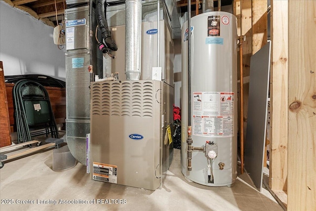 10889 Pointe W Blvd, Grand Ledge, MI 48837 - utilities featuring gas water heater