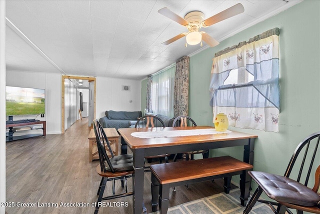 2243 Hubbard Rd, Charlotte, MI 48813 - dining space with wood finished floors, ceiling fan, and crown molding