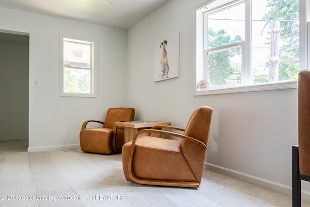 524 Denver Ave, Lansing, MI 48910 - photo 13