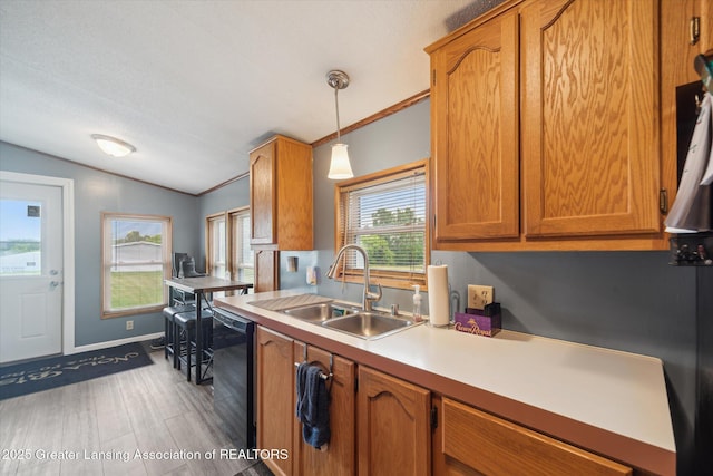 2744 Carlisle Hwy, Charlotte, MI 48813 - kitchen featuring black dishwasher, vaulted ceiling, healthy amount of natural light, light countertops, and wood finished floors