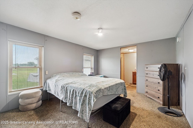 2744 Carlisle Hwy, Charlotte, MI 48813 - carpeted bedroom with connected bathroom