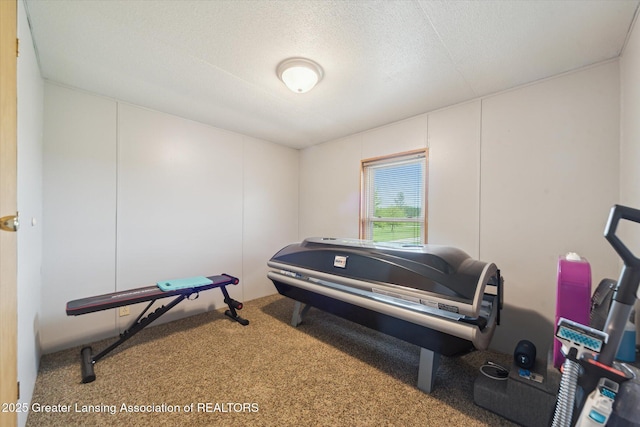 2744 Carlisle Hwy, Charlotte, MI 48813 - workout room with carpet floors and a textured ceiling