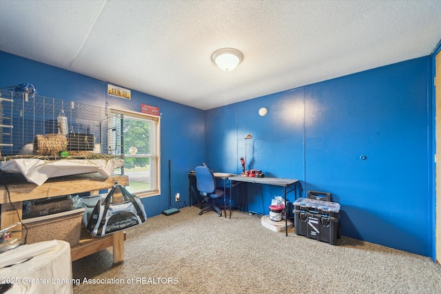 2744 Carlisle Hwy, Charlotte, MI 48813 - carpeted office space featuring a textured ceiling