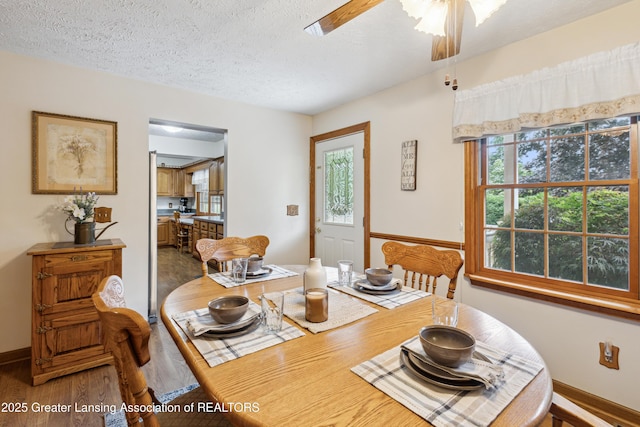 888 S Waverly Rd, Eaton Rapids, MI 48827 - dining room featuring wood finished floors, healthy amount of natural light, a textured ceiling, and ceiling fan