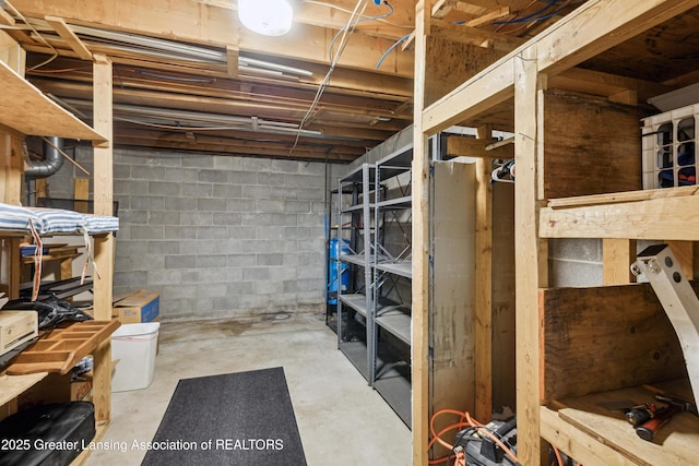 888 S Waverly Rd, Eaton Rapids, MI 48827 - unfinished below grade area featuring concrete block wall