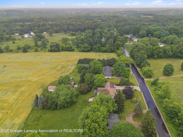 888 S Waverly Rd, Eaton Rapids, MI 48827 - aerial overview of property's location with rural landscape
