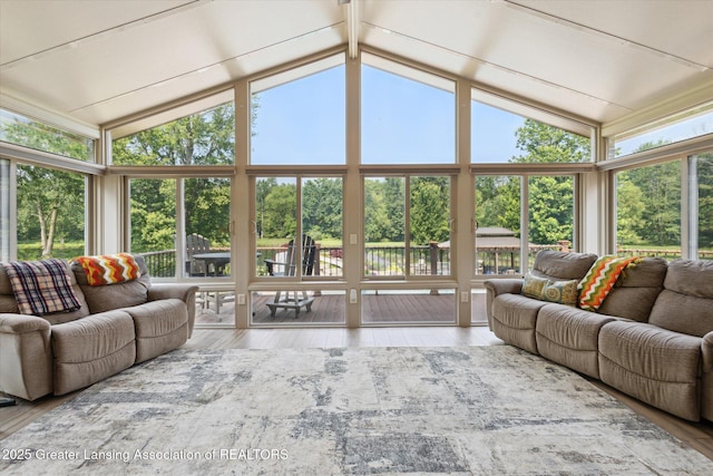 502 W Spring Meadows Ln, Dewitt, MI 48820 - living room featuring wood finished floors, vaulted ceiling, view of wooded area, and a wall of windows