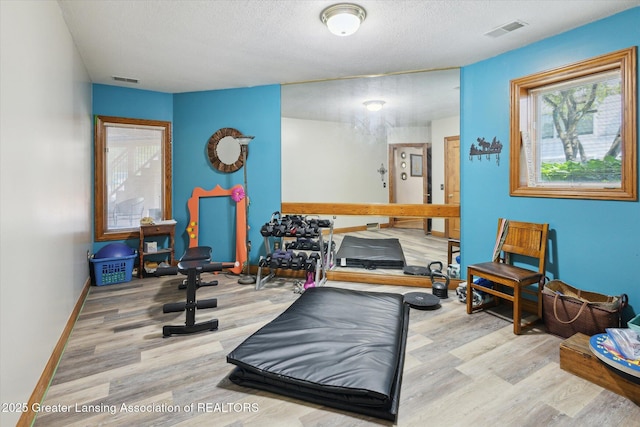 502 W Spring Meadows Ln, Dewitt, MI 48820 - exercise room with wood finished floors and a textured ceiling