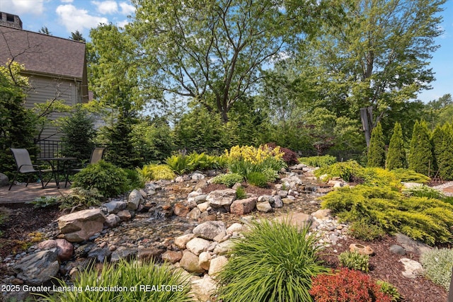 502 W Spring Meadows Ln, Dewitt, MI 48820 - view of yard featuring a patio