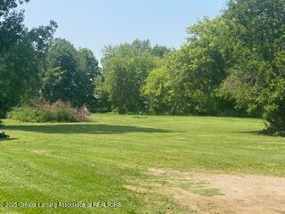 9912 Kinneville Rd, Eaton Rapids, MI 48827 - photo 4