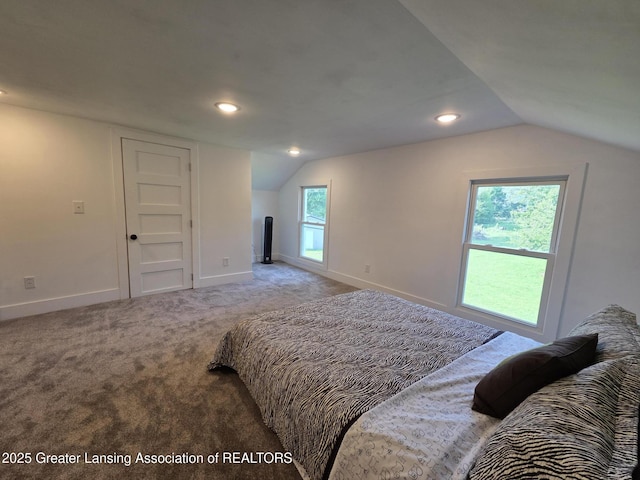 9912 Kinneville Rd, Eaton Rapids, MI 48827 - photo 28