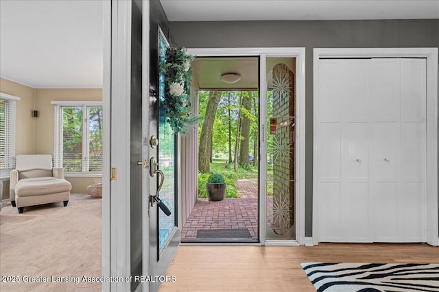 1122 Farwood Dr, East Lansing, MI 48823 - foyer entrance with wood finished floors