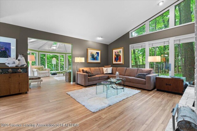 1122 Farwood Dr, East Lansing, MI 48823 - living room with light wood-type flooring and high vaulted ceiling