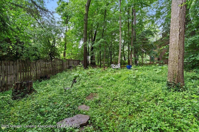 1122 Farwood Dr, East Lansing, MI 48823 - view of yard