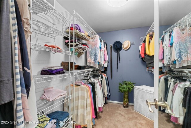 1122 Farwood Dr, East Lansing, MI 48823 - spacious closet featuring carpet floors