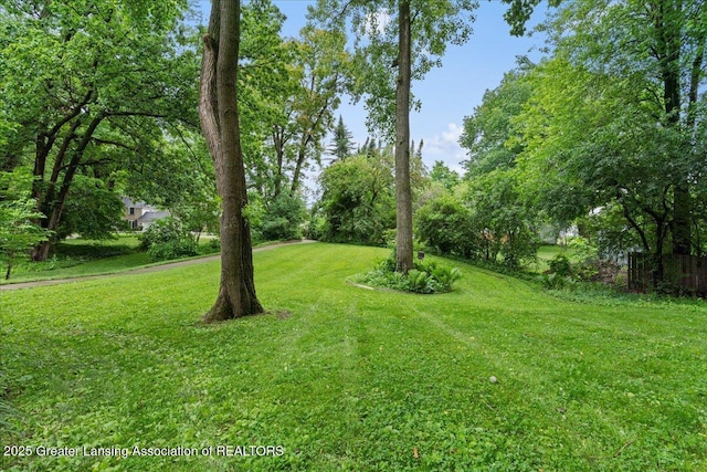 1122 Farwood Dr, East Lansing, MI 48823 - view of green lawn with view of scattered trees
