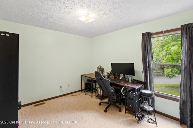 2440 Sower Blvd, Okemos, MI 48864 - carpeted office space featuring baseboards and a textured ceiling