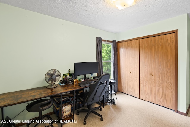 2440 Sower Blvd, Okemos, MI 48864 - home office featuring a textured ceiling