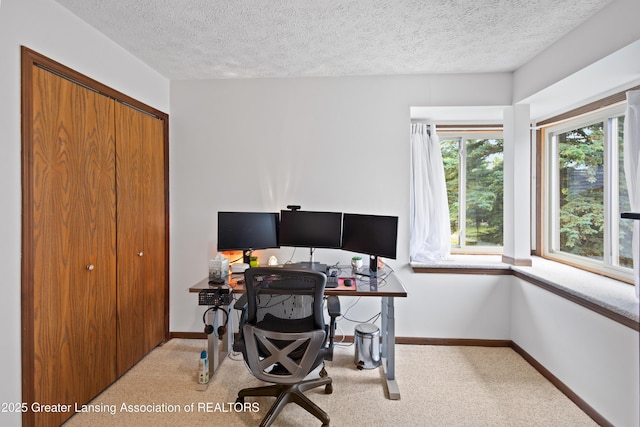 2440 Sower Blvd, Okemos, MI 48864 - home office with light carpet and a textured ceiling
