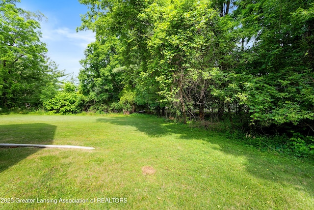 2440 Sower Blvd, Okemos, MI 48864 - view of grassy yard