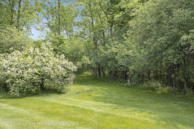 2352 Kings Cross N, East Lansing, MI 48823 - view of green lawn