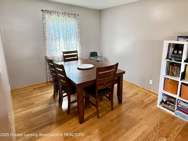 1527 Lindy Dr, Lansing, MI 48917 - photo 15