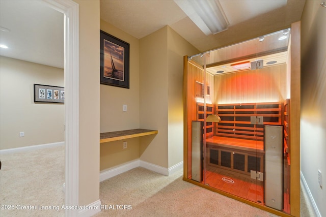 6378 E Island Lake Dr, East Lansing, MI 48823 - sauna / steam room with carpet floors