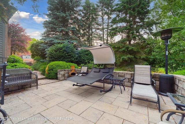 6378 E Island Lake Dr, East Lansing, MI 48823 - view of patio