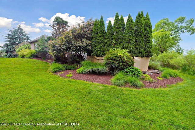 6378 E Island Lake Dr, East Lansing, MI 48823 - view of green lawn