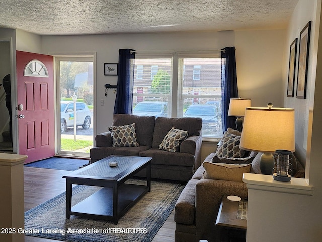 1755 Maisonette Dr, Lansing, MI 48911 - living area featuring a textured ceiling and wood finished floors