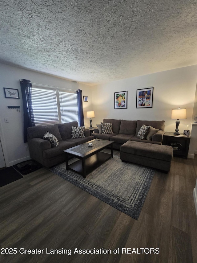 1755 Maisonette Dr, Lansing, MI 48911 - living area with a textured ceiling and wood finished floors
