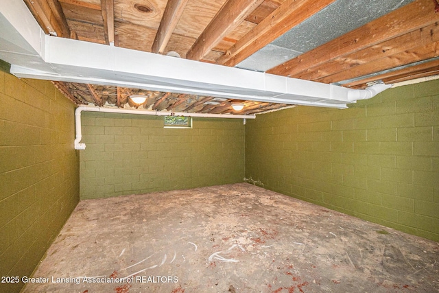 203 Branson Bay Dr, Mason, MI 48854 - view of unfinished below grade area